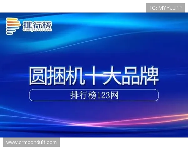 凯发K8.com VIP直营平台安全保障措施确保玩家资金与信息安全